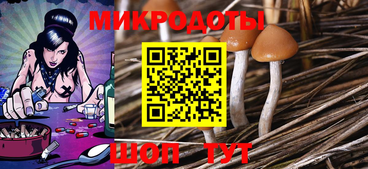 Галлюциногенные грибы Cubensis  Вход с VPN  Гагарин  Галлюциногенные грибы Psilocybe 