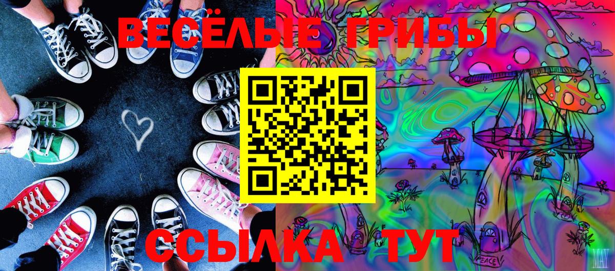 Галлюциногенные грибы Magic Shrooms Гагарин